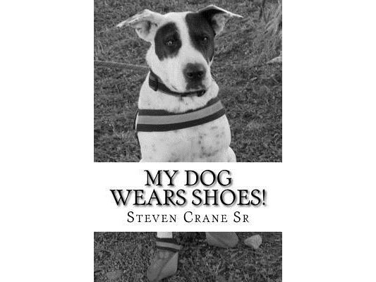 My dog wears shoes!