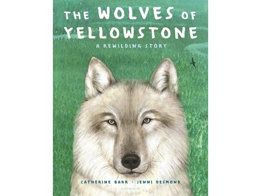 The Wolves of Yellowstone: A Rewilding Story