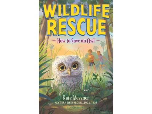 How to Save an Owl