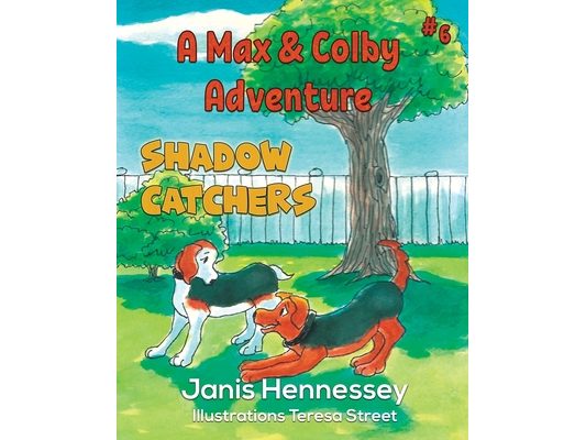 Shadow Catchers