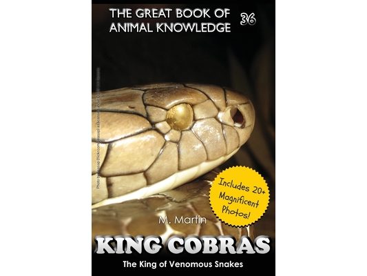King Cobras: King of Venomous Snakes