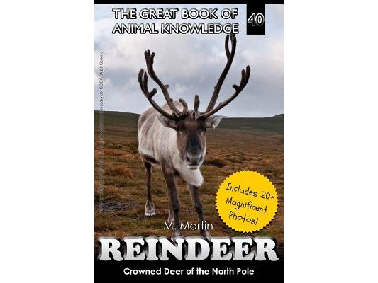 Reindeer: Crowned Deer of the North Pole