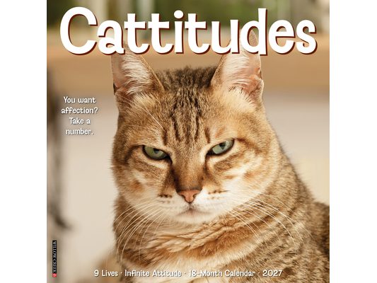 Cattitudes 2027 12 X 12 Wall Calendar