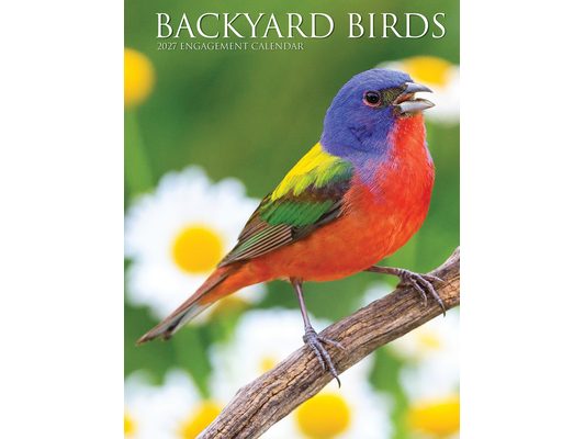 Backyard Birds 2027 6.5 X 8.5 Engagement Calendar