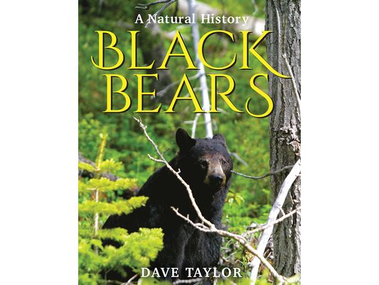 Black Bears: A Natural History