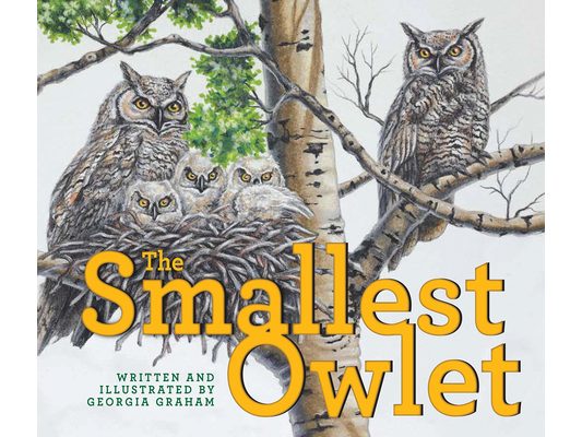 The Smallest Owlet