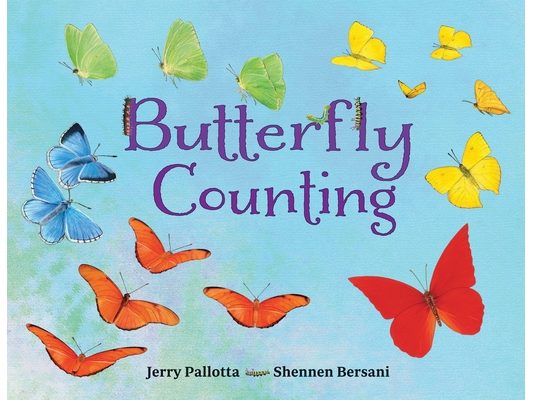 Butterfly Counting