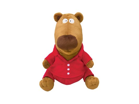 The Going to Bed Book Bear