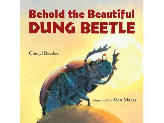 Behold the Beautiful Dung Beetle