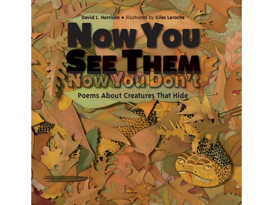Now You See Them, Now You Don't: Poems about Creatures That Hide