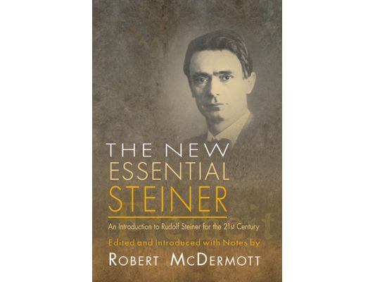 The New Essential Steiner