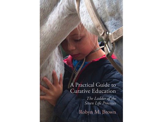 A Practical Guide to Curative Education: The Ladder of the Seven Life Processes