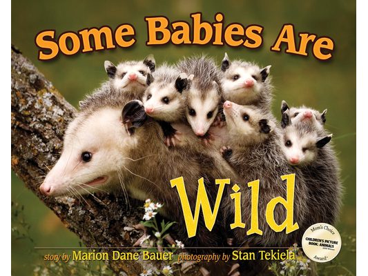 Some Babies Are Wild