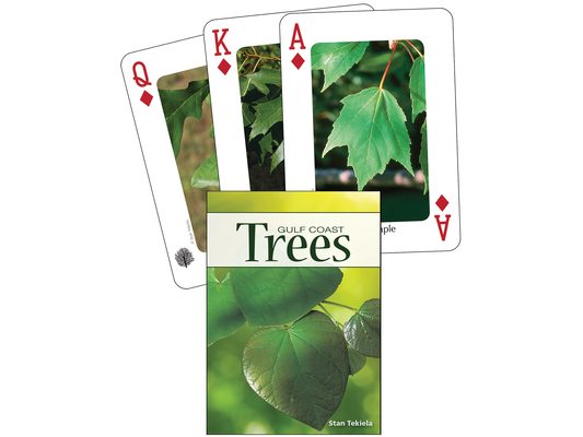 Trees of the Gulf Coast