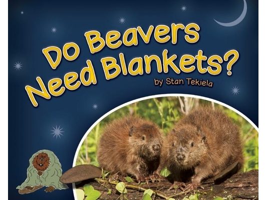 Do Beavers Need Blankets?