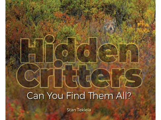 Hidden Critters: Can You Find Them All?