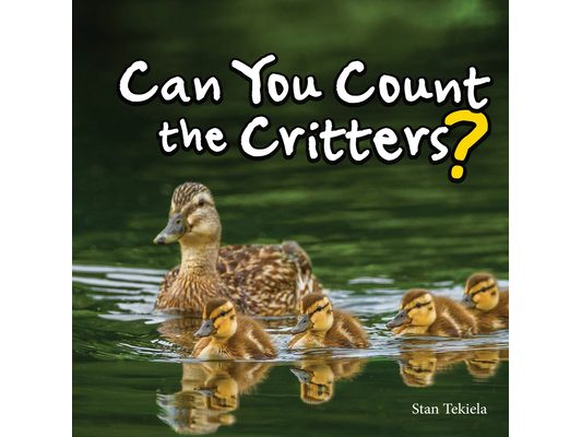 Can You Count the Critters?