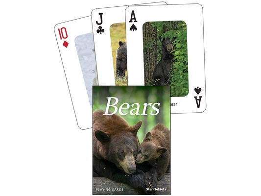 Bears Playing Cards