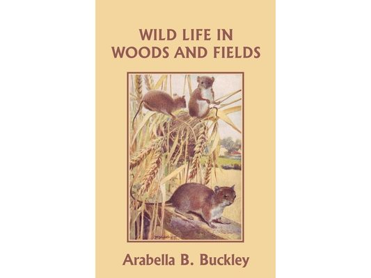Wild Life in Woods and Fields (Yesterday's Classics)