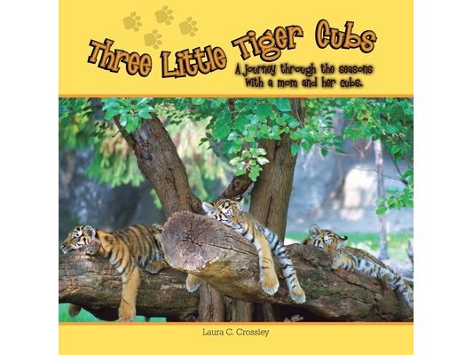Three Little Tiger Cubs: A photographic journey through the seasons with a mom and her cubs