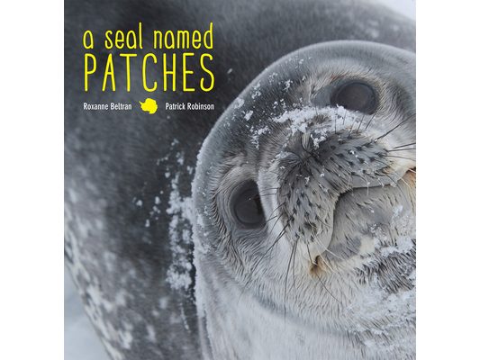 Seal Named Patches