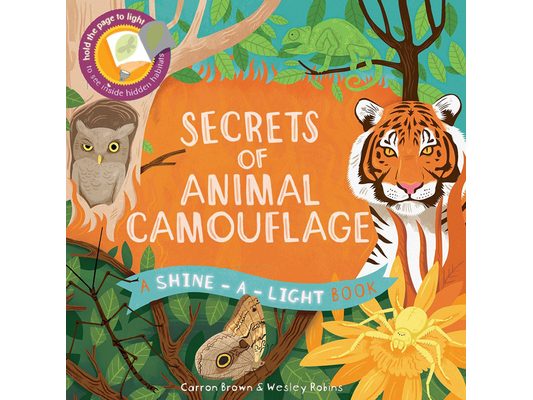 Secrets of Animal Camouflage