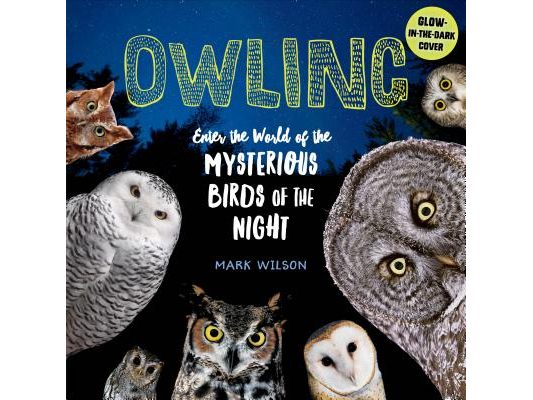 Owling: Enter the World of the Mysterious Birds of the Night