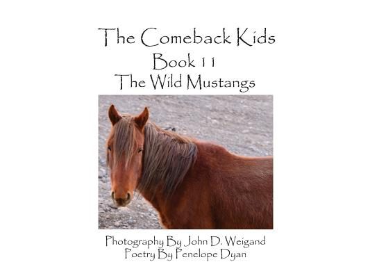 The Comeback Kids--Book 11--The Wild Mustangs