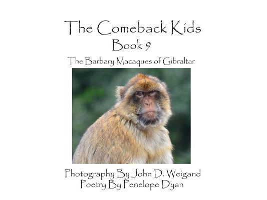 The Comeback Kids -- Book 9 -- The Barbary Macaques of Gibraltar