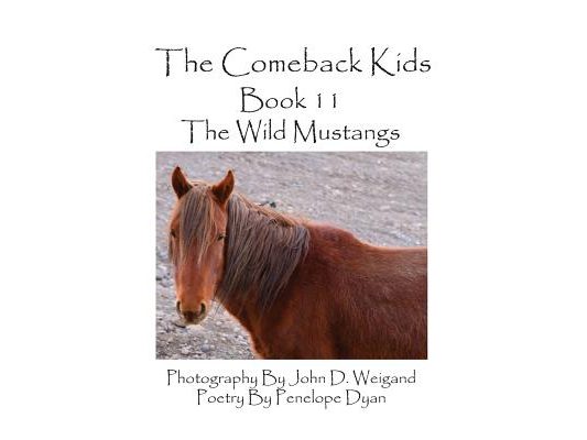 The Comeback Kids--Book 11--The Wild Mustangs