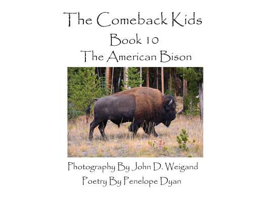 The Comeback Kids--Book 10--The American Bison