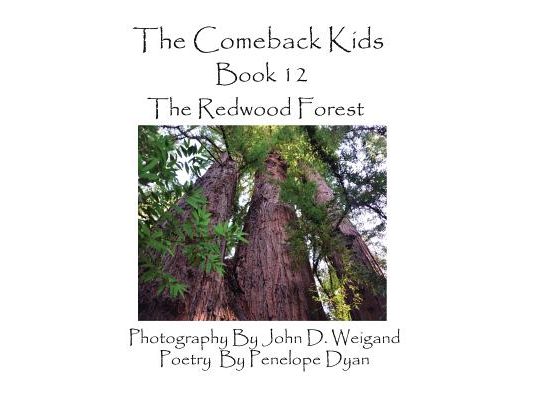 The Comeback Kids, Book 12, the Redwood Forest