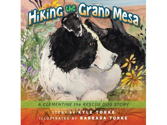 Hiking the Grand Mesa: A Clementine the Rescue Dog Story