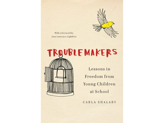 Troublemakers: Lessons in Freedom from Young Children at School