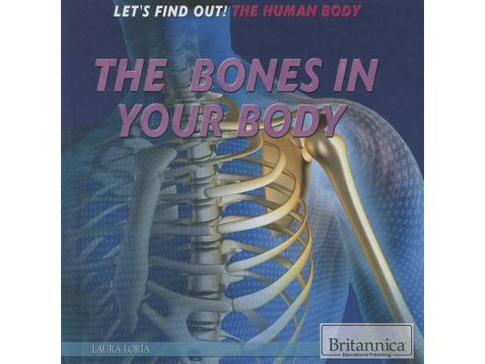 The Bones in Your Body