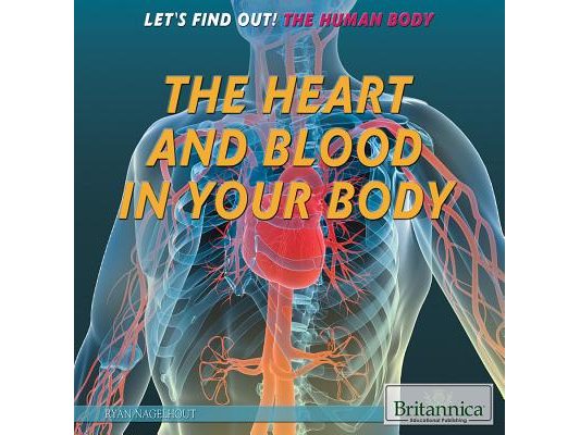 The Heart and Blood in Your Body