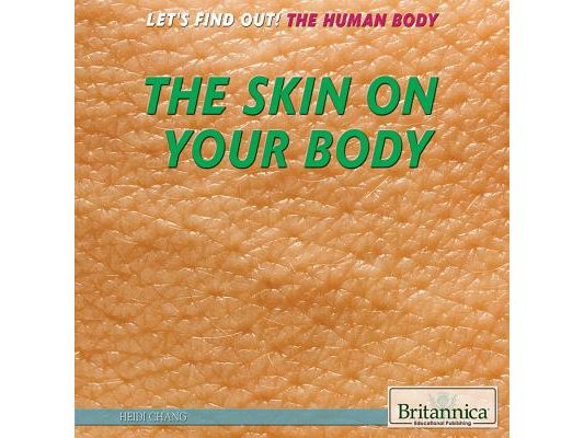 The Skin on Your Body