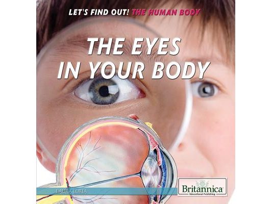 The Eyes in Your Body