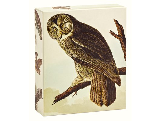 Teneues - Quicknotes: Audubon Owls, Notecards, 20 Full Color Notecards, 20 Classic White Envelopes, 4 Designs, 5 Cards Each Design, Keepsake Box, Magn
