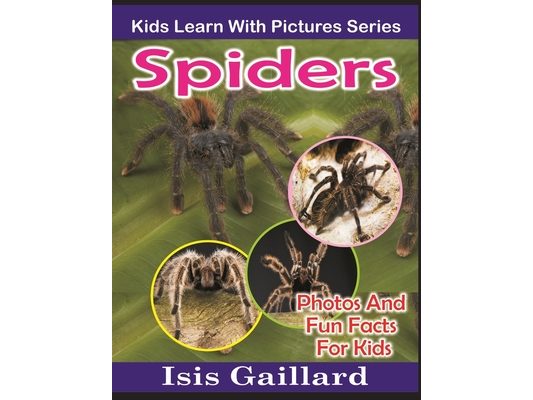 Spiders: Photos and Fun Facts for Kids