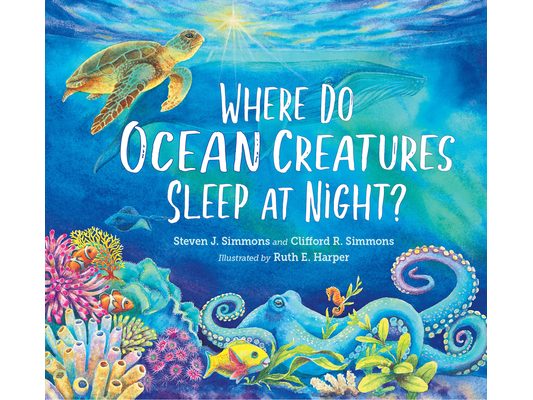 Where Do Ocean Creatures Sleep at Night?