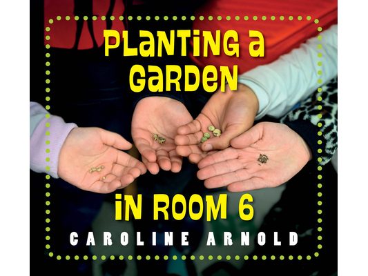 Planting a Garden in Room 6: From Seeds to Salad