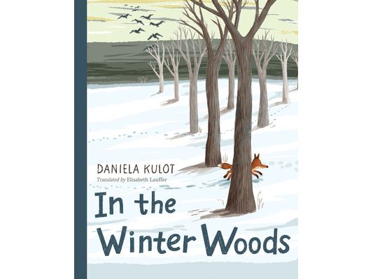 In the Winter Woods