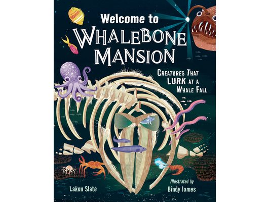 Welcome to Whalebone Mansion: Creatures That Lurk at a Whale Fall
