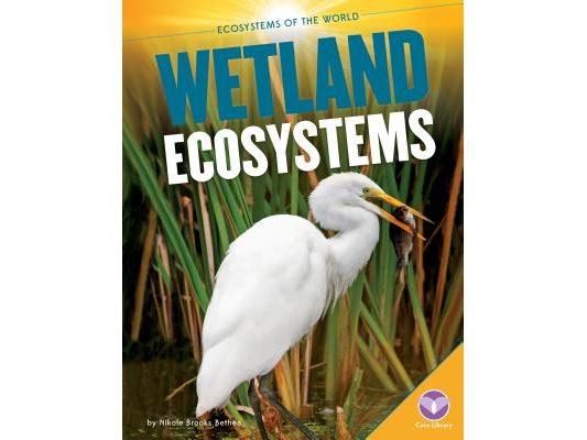 Wetland Ecosystems