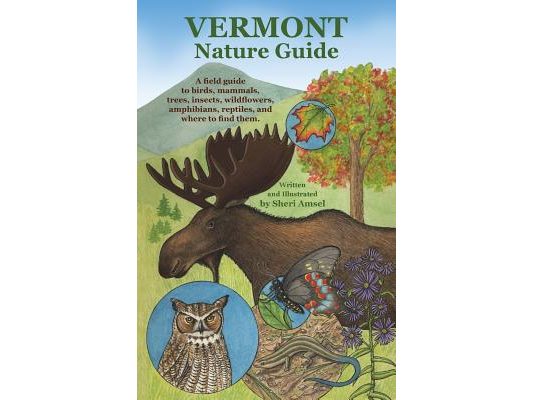 Vermont Nature Guide: A field guide to birds, mammals, trees, insects, wildflowers, amphibians, reptiles, and where to find them