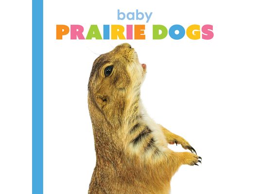 Baby Prairie Dogs