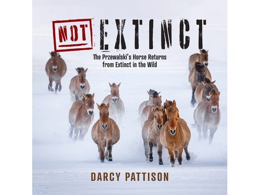 NOT Extinct: The Przewalski's Horse Returns from Extinct in the Wild