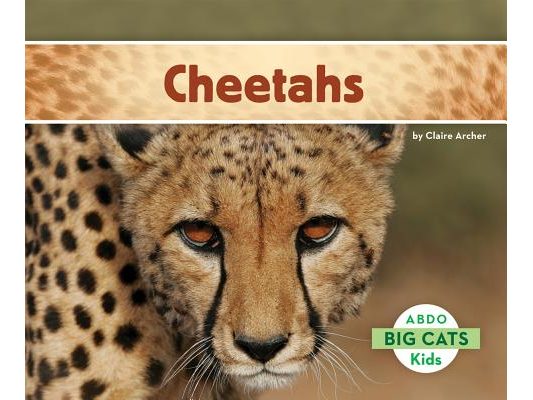 Cheetahs