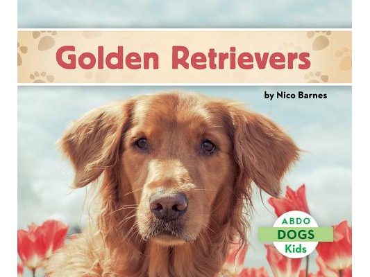 Golden Retrievers